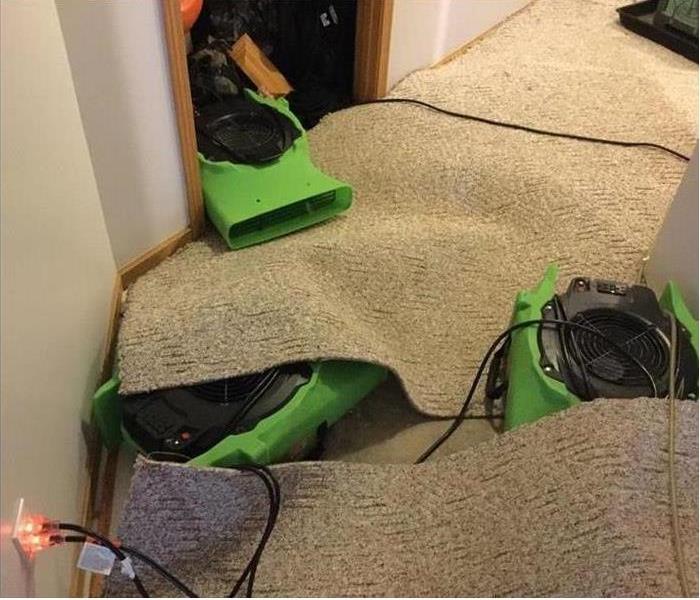 Air movers sitting on top and under carpet in order to dry it